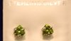 Peridot, SS, Earrings