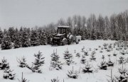 Christmas Tractor